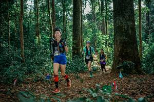 BIB: 
                            <button type="button" onclick="openModal(26100118)" class="btn btn-primary btn-sm float-right btn-popup" data-toggle="modal" data-target=".modal-high-quality">
                        <i class="fas fa-shopping-cart"></i> Add to Cart
                    </button>
                                            <button type="button" onclick="isThisMe(26100118, true)" class="btn btn-success btn-sm float-right btn-popup btn-isme hidden" data-toggle="tooltip" data-placement="bottom" title="นี่คือรูปของคุณใช่ไหม คลิกที่นี่เพื่อเอาเข้าอัลบั้ม">
                        <i class="fas fa-plus"></i> Add to album
                    </button>
                    <button type="button" onclick="isThisMe(26100118, false)" class="btn btn-warning btn-sm float-right btn-popup btn-isnotme hidden">
                        <i class="fas fa-ban"></i> Remove from album
                    </button>